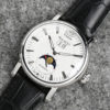 lune seagull