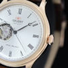 AG00001S aiguilles cote droite
