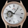 AG00001S hors couonne