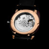 BRISTON 19640 PRA TI 2 LVC iconic acetate gold Conteenium 6