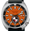 NETHUNS AQUASTEEL300 AS322 2
