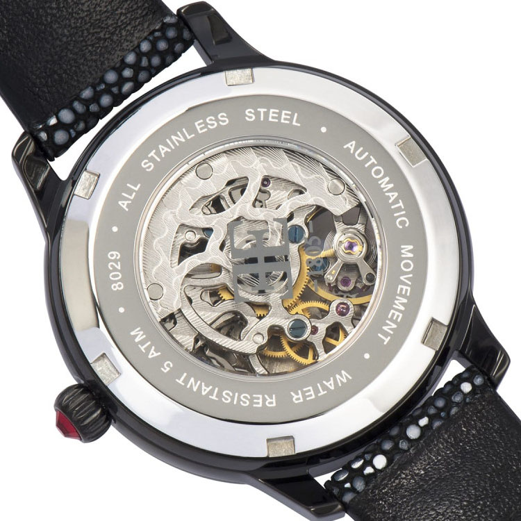 Earnshaw Lady Australis ES 8029 09 Conteenium 3