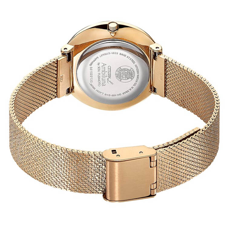 Ladies' Citizen Eco-Drive® Gold-Tone Watch with Silver-Tone Dial (Model:  EM0682-74A)