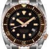 Nethuns Lava II Steel LS261 Conteenium 2