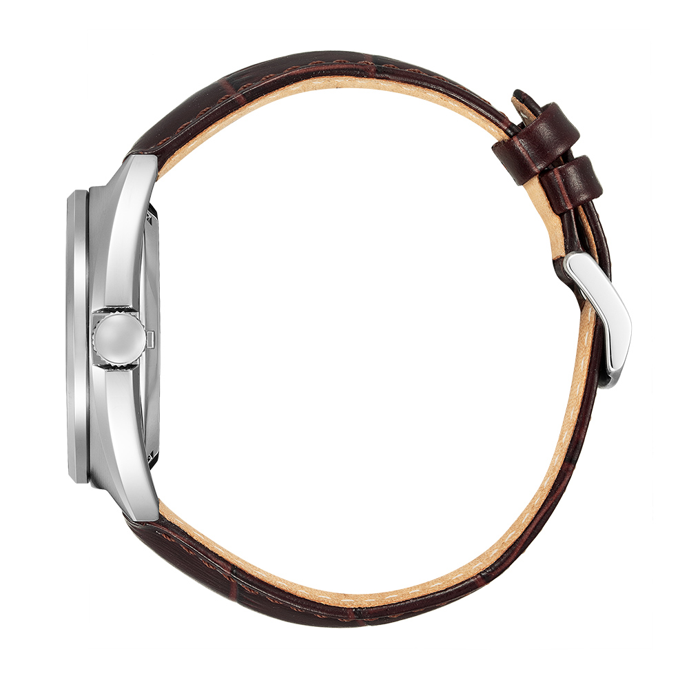 Citizen Mechanical Aviator NJ0100-03H - automatic watches