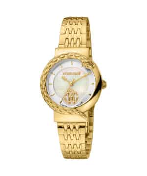 RV1L156M1061 RV1L156M1061