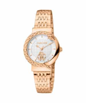 RV1L156M1081 RV1L156M1081