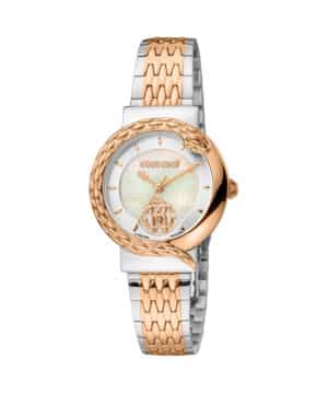 RV1L156M1111 RV1L156M1111