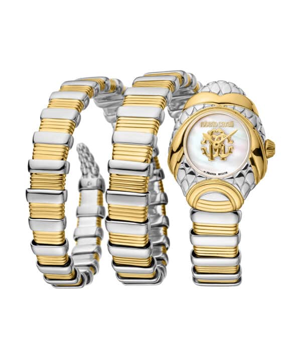 RV1L163M0051 RV1L163M0051