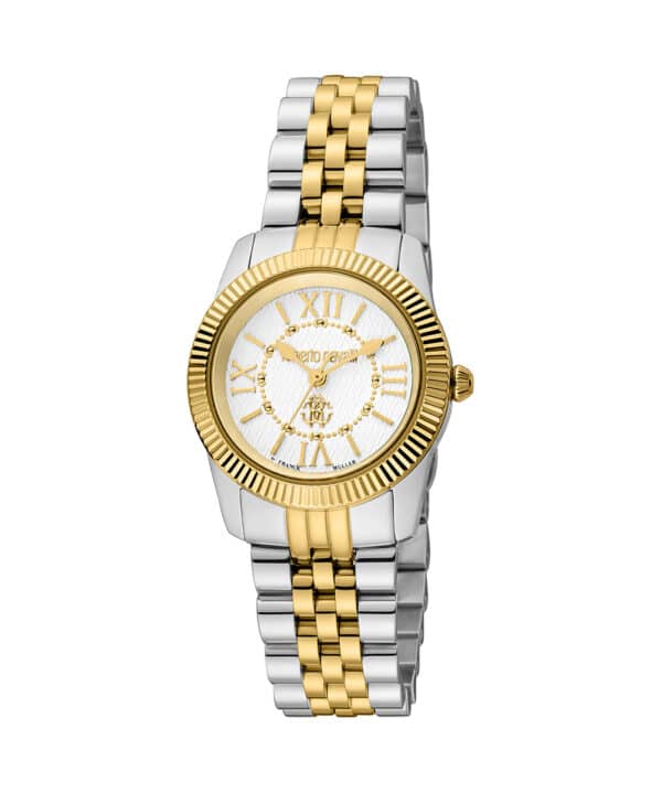 RV1L191M0081 RV1L191M0081