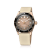 80131 37RNC VDBEI additional