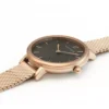 PL Watch 014J938 d PL Watch 014J938 d