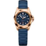 Victorinox Watch 242035