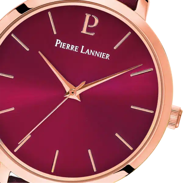 PL Watch 038J955 a
