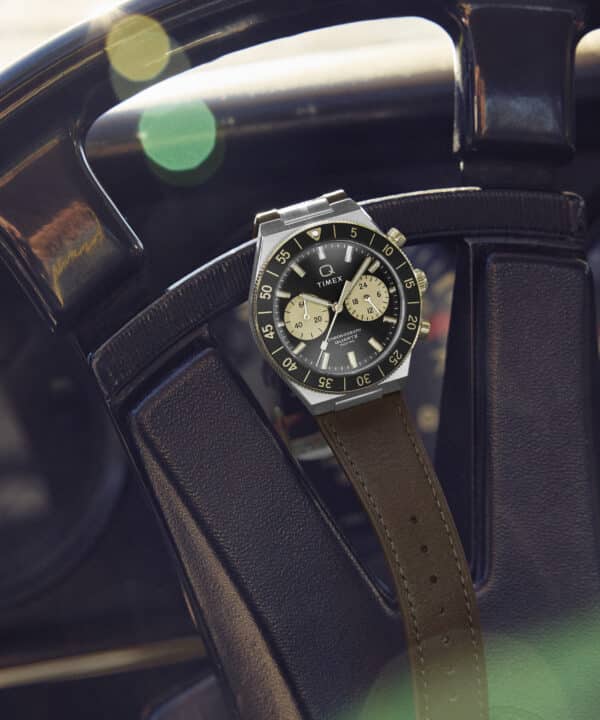 Timex Watch TW2Y56000 a.jpg