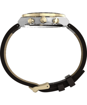 Timex Watch TW2Y56000 e.jpg