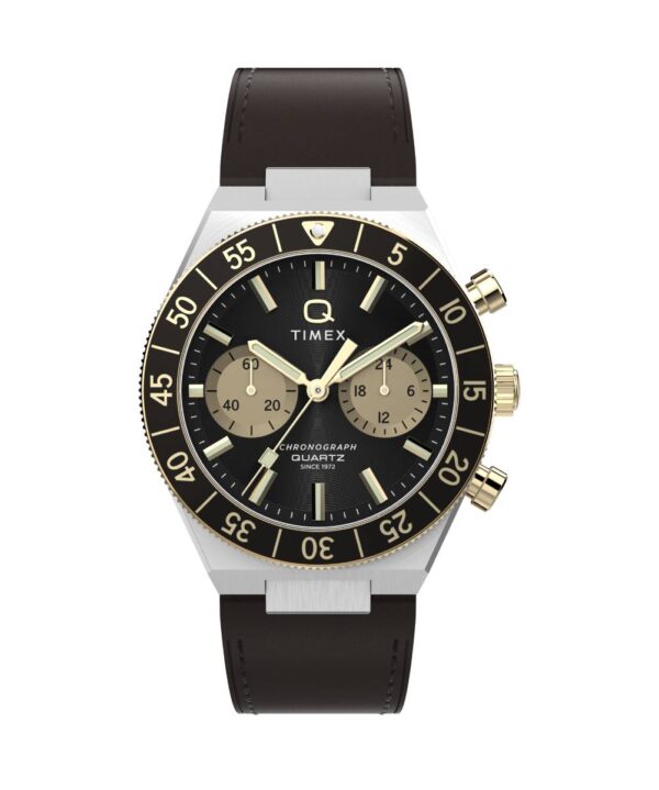 Timex Watch TW2Y56000.jpg