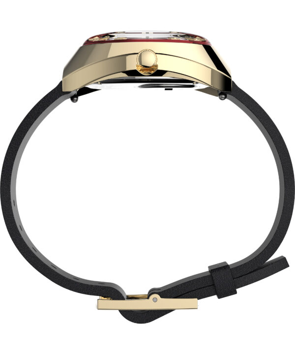 timex watch TW2V25400 c