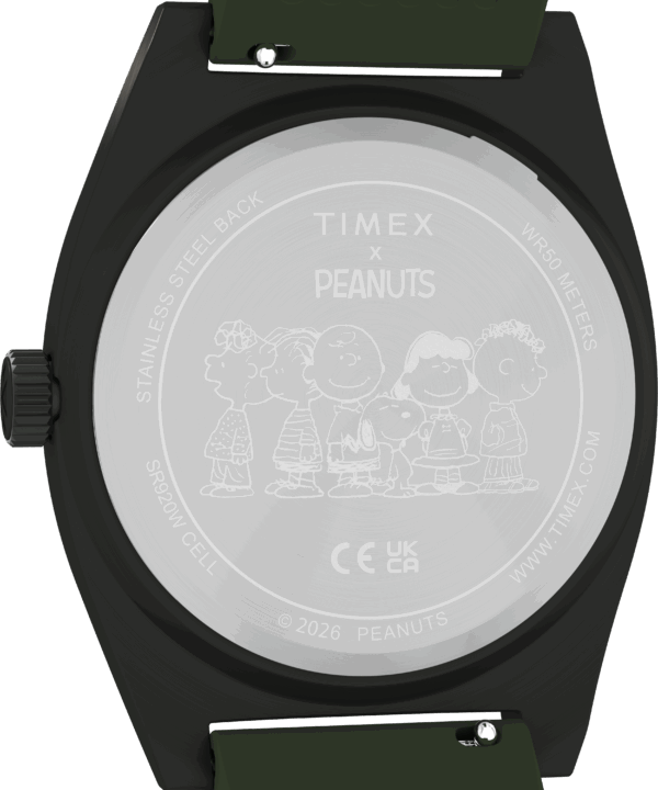 timex watch TW2Y52500 c