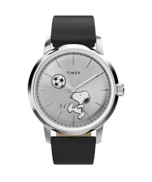 timex watch TW2Y53800