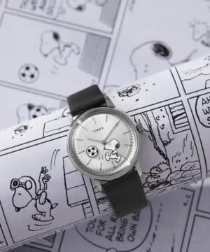 timex watch TW2Y53800 a