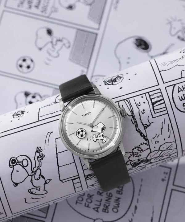 timex watch TW2Y53800 a