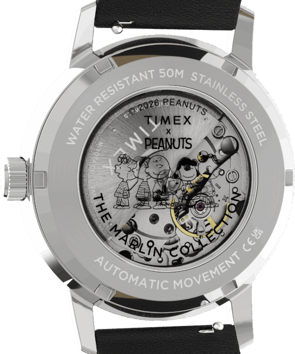 timex watch TW2Y53800 e