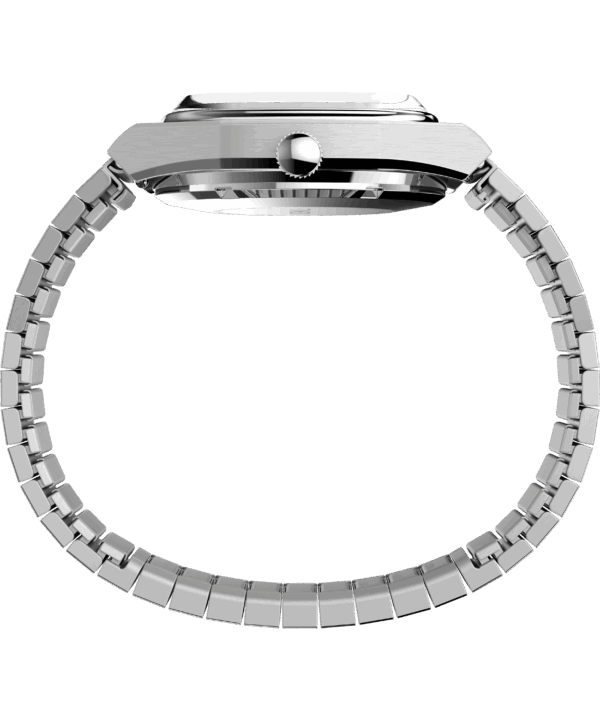 timex watch TW2Y66800 c