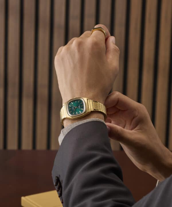 timex watch TW2Y67700 e